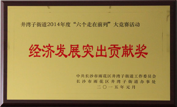 2014經(jīng)濟發(fā)展突出貢獻獎